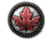 GFX_decision_category_canada