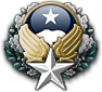 GFX_ACC_airforce