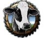 GFX_NIC_Cows