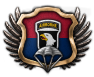 GFX_USA_screaming_eagles